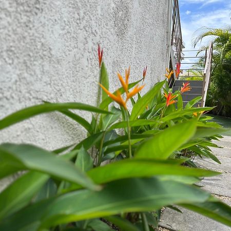 Seasons Break Apartment Pereybere بيريبير المظهر الخارجي الصورة