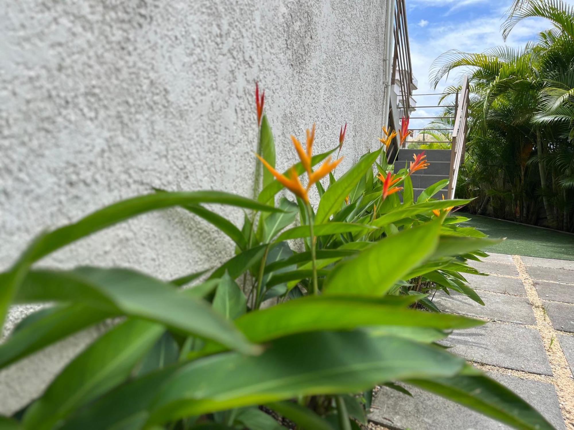 Seasons Break Apartment Pereybere بيريبير المظهر الخارجي الصورة